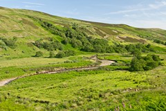 This landscape was taken with an aperture of f6.3 as there was nothing in the immediate foreground that needed to be in focus