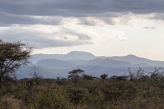 The Nyambene Hills