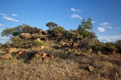 This small hill is known as Leopard rock