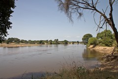 Ruaha river I