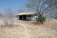 Tent in Ruaha