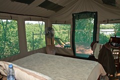 Looking out of the tent at the patio decking and the river beyond