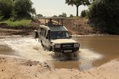 The Tarangire river is pretty shallow and is relatively easy to cross